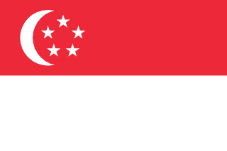 🇸🇬