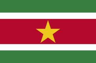 🇸🇷